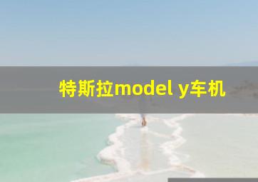 特斯拉model y车机